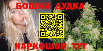 МДПВ Пушкино