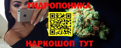 МДПВ Пушкино